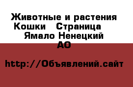 Животные и растения Кошки - Страница 2 . Ямало-Ненецкий АО